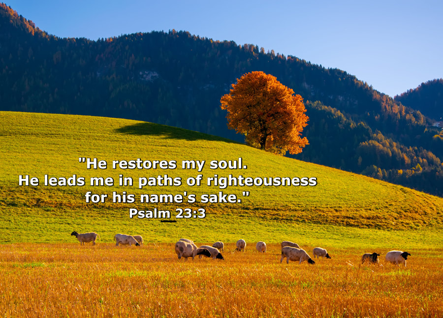 Psalms: Lessons In Prayer – The Ranch