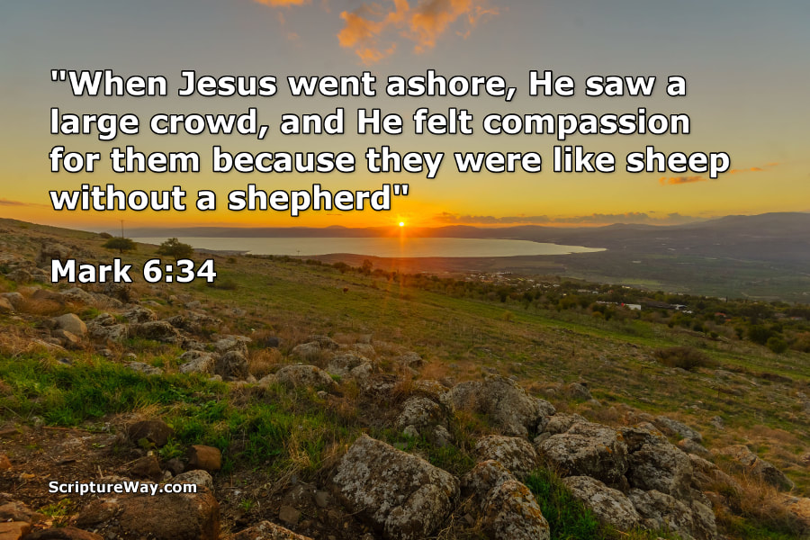 The Compassion Of Jesus Christ